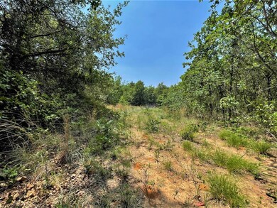 TBD Advance Rd, Poolville, TX 76487 - photo 7