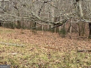 0 Julius Bridge Rd unit 10656513, Ball Ground, GA 30107 - photo 2