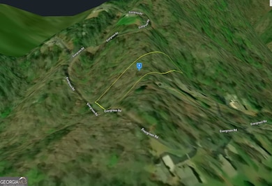 300 Evergreen Rd, Hiawassee, GA 30546 - photo 3