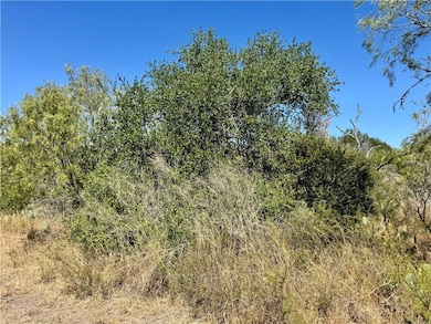 0 County Road 215, McCoy, TX 78113 - photo 5