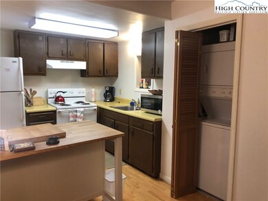 170 Trout Pond Ln unit 2, Banner Elk, NC 28604 - photo 6