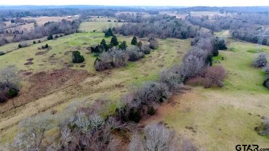 14151 Fm 848, Whitehouse, TX 75791 - photo 4