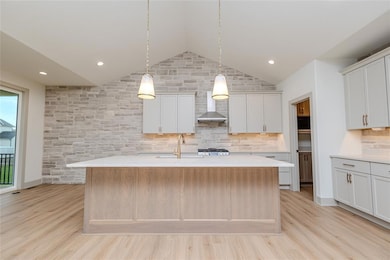 875 Harrington Way, Waukee, IA 50263 - photo 6