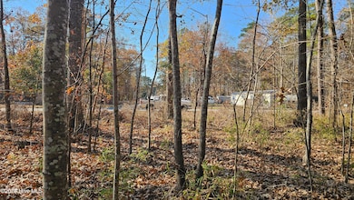 184 Shady, Hertford, NC 27944 - photo 3