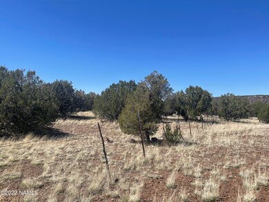 E Forest Service 736 Rd Photo 5