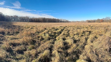 26XXX 175th Ave, Fort Ripley, MN 56449 - photo 5