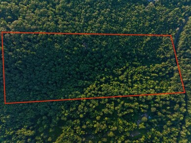 0 Northfield Rd unit 73384011, Warwick, MA 01378 - photo 3