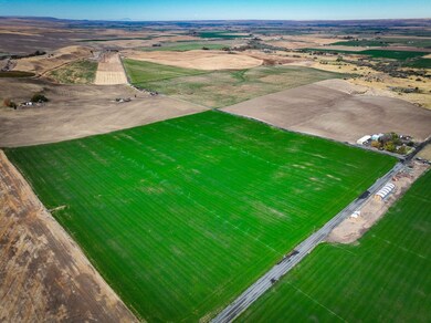 50671 Schubert Rd, Milton Freewater, OR 97862 - photo 7