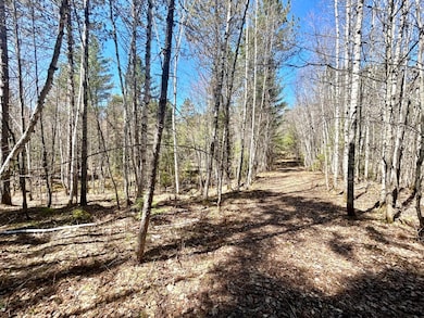 80AC off Razorback Rd, Conover, WI 54519 - photo 7