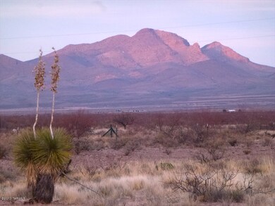 7.8 Acres S Acacia Ln, Portal, AZ 85632 - photo 3