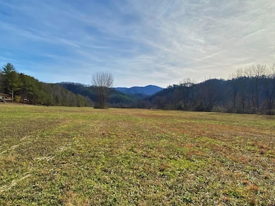 0 River Rapids Way unit 1102136, Del Rio, TN 37727 - photo 7