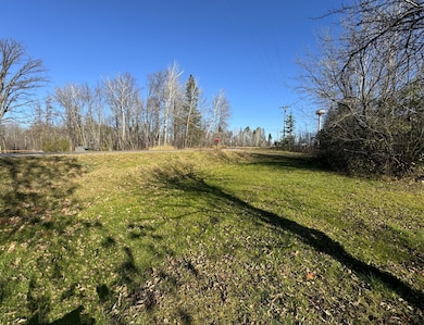 TBD 302xx 480th St, Palisade, MN 56469 - photo 6
