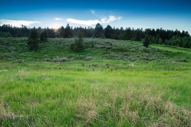 Lot 22 Spruce Cone Dr, Big Sky, MT 59716 - photo 5