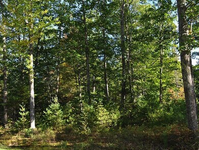 Generic Woods-2