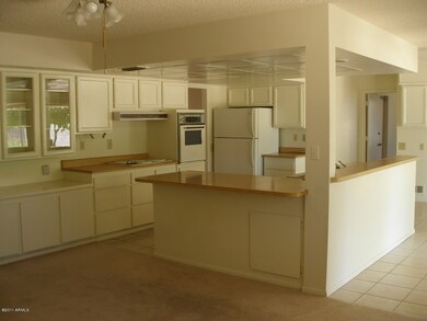 17222 N Appaloosa Dr, Sun City, AZ 85373 - photo 4