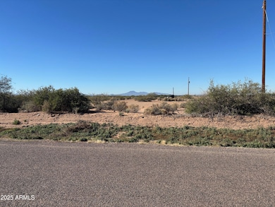 8540 S Thornton Rd unit 9B, Casa Grande, AZ 85193 - photo 6