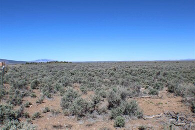 0 Part of P8 Cerro Area unit 107735, Questa, NM 87556 - photo 4