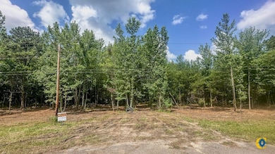 0 Birdsong Rd, Camden, TN 38320 - photo 3