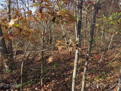 224 Donsdale Dr, Statesville, NC 28625 - photo 6