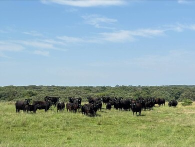 509th Avenue, Oneill, NE 68763 - photo 4