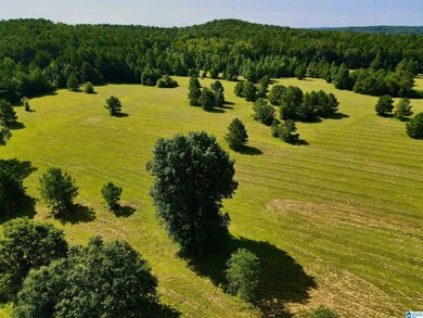 0 Highway 145 unit 1 21425973, Shelby, AL 35143 - photo 5