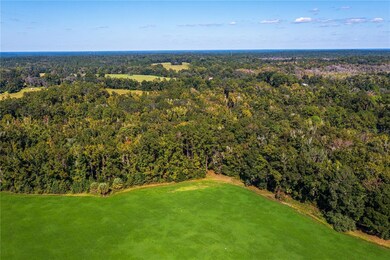 21490 NW 106th Court Rd, Micanopy, FL 32667 - photo 5