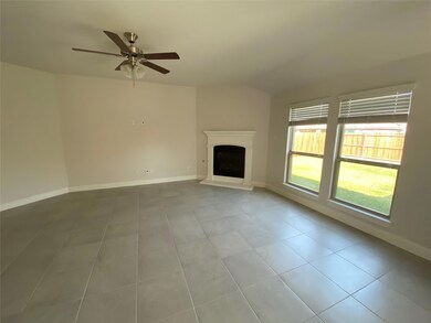 10805 Blaze St, Aubrey, TX 76227 - photo 4