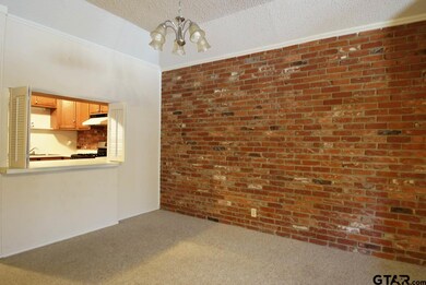 408 Woodland Hills Dr, Tyler, TX 75701 - photo 4