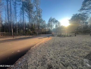 0 Springwood Trail unit 4102916, Flora, MS 39071 - photo 4