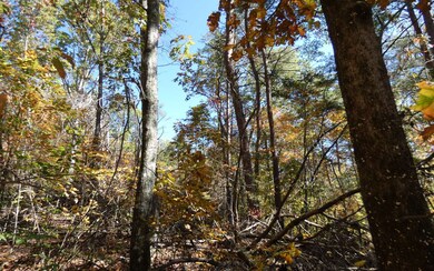 Additional View