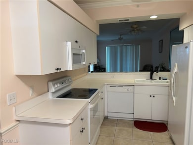 10449 Washingtonia Palm Way unit 3235, Fort Myers, FL 33966 - photo 3