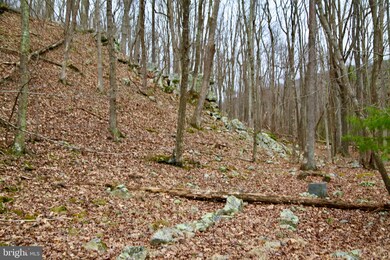 0 Wetzel Hollow unit WVHD105886, Mathias, WV 26812 - photo 6