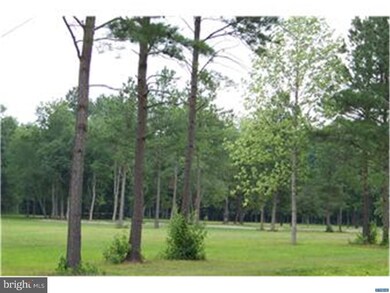 3 Tomahawk Ln, Felton, DE 19943 - photo 2