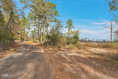 0 Pierce Rd, Logansport, LA 71049 - photo 4