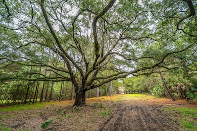 8737 Peters Point Rd, Edisto Island, SC 29438 - photo 5