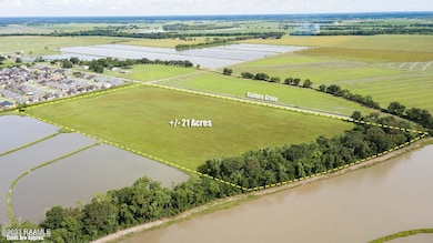1900 Blk Golden Graine Rd, Rayne, LA 70578 - photo 3