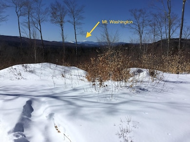 View of Mount Washington in 2019