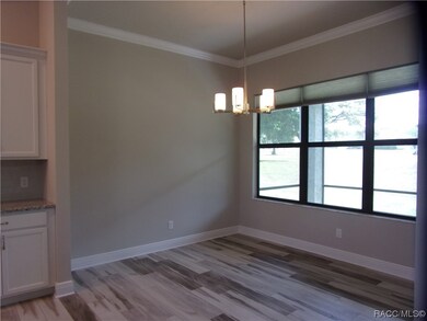 248 E Cumberland Ct, Hernando, FL 34442 - photo 5