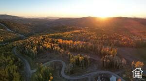 7 Elk Meadows Dr unit 7, Beaver, UT 84713 - photo 2