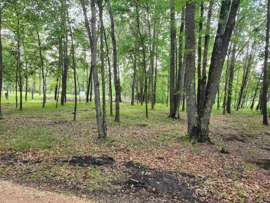 2245 15th Dr, Adams, WI 53934 - photo 3