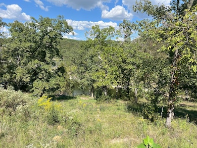 #9 Ledge Rock Ln unit Lot 9, Omaha, AR 72662 - photo 4