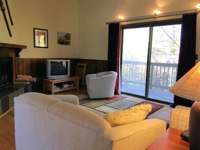 53 Birches Way unit BA2, Peru, VT 05152 - photo 5