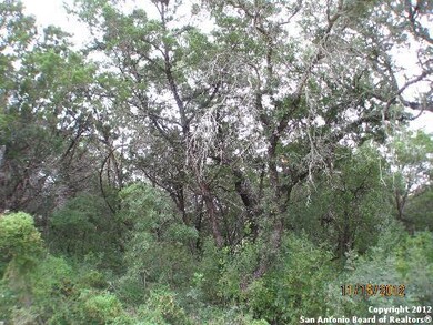 11122 Windy Willows, Helotes, TX 78023 - photo 5