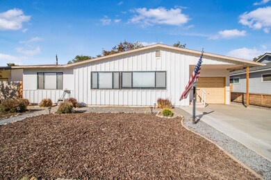 Low maintenance yard