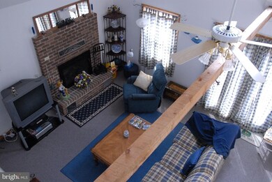 58 Coyote Trail, Franklin, WV 26807 - photo 5