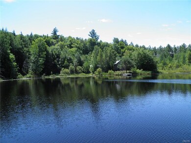 Cottage on pond
