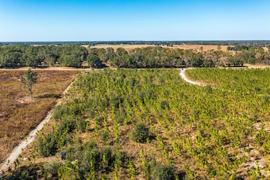 0 SW 282nd St, Newberry, FL 32669 - photo 2