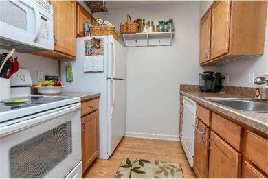 33 S Orchard Ave, Kennett Square, PA 19348 - photo 3