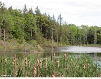 Beaver Pond