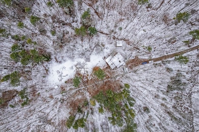 27 Birch Tree Lane_160